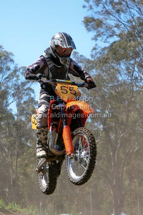 445x677 pixels (60K)